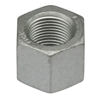 U-Bolt Nut M24 21222243