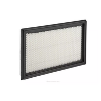 A360 Ryco Air Filter